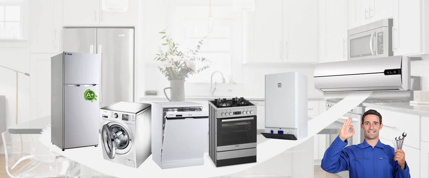 Buruncuk Electrolux Servisi